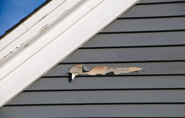 How To Choose The Right Materials for Your Siding Installation in 'Faison, NC